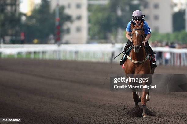 Craig Williams riding Criterion from Australia on the All Weather Track during a trackwork session at Sha Tin Racecouse on December 11, 2015 in Hong...