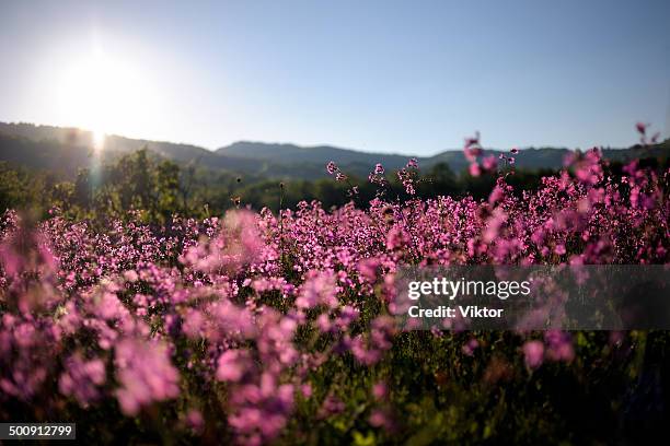 Radan Mountain Fotografías e imágenes de stock Getty Images