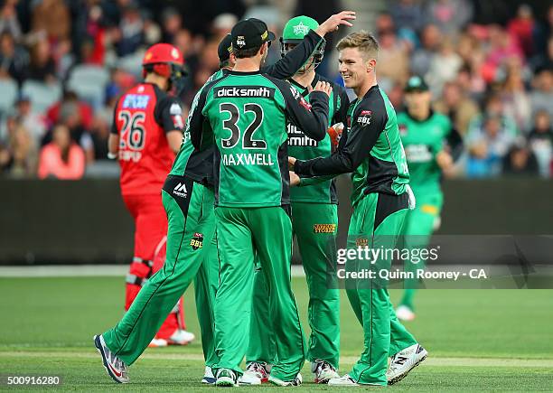 Adam Zampa of the Stars is congratulated by team mates after getting the wicket of Tom Cooper of the Renegades during the Big Bash League exhibition...