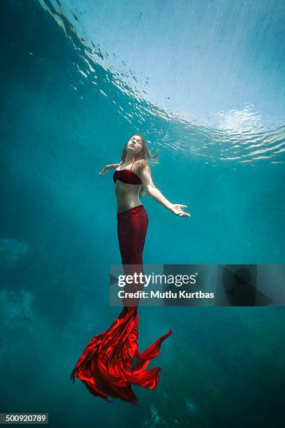 6 430点の人魚のストックフォト Getty Images 6 430点の人魚のストックフォト Getty Images