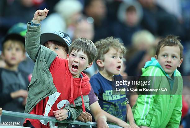 Fans show their support during the Big Bash League exhibition match between the Melbourne Stars and the Melbourne Renegades at Simonds Stadium on...