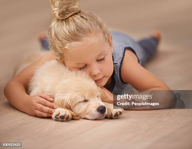 nap zeit für die zwei freunde - wooden floor stock-fotos und bilder