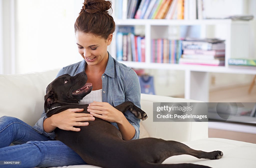 Quick,more belly rubs!