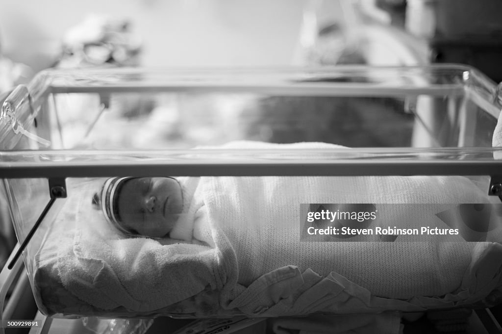 Newborn Baby in Hospital Bed