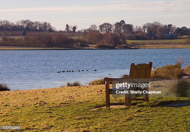 Shelley Ripple Shelly Ripple Photos and Premium High Res Pictures - Getty Images