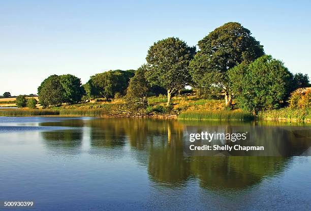 Shelley Ripple Shelly Ripple Photos and Premium High Res Pictures - Getty Images