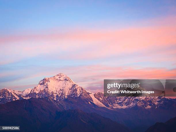 sunrise view to dhaulagiri from khopra dada, nepal - nepal pokhara stock pictures, royalty-free photos & images