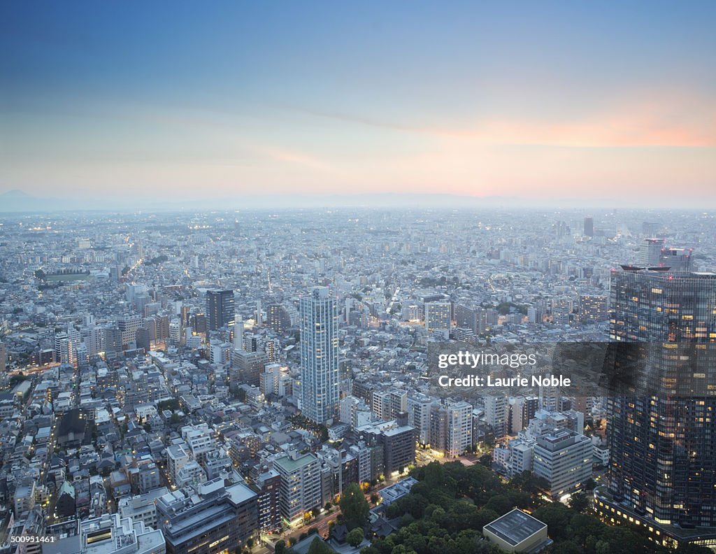 Cityscape, Tokyo, Japan