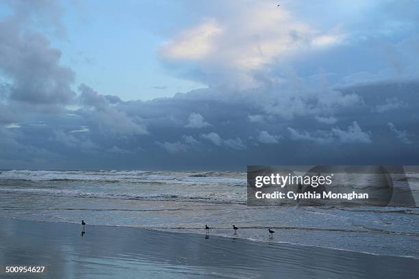 Birds in the surf as dark storm clouds pass Daytona Beach Shores, Florida on July 2, 2014. Tropical Storm / Hurricane Arthur