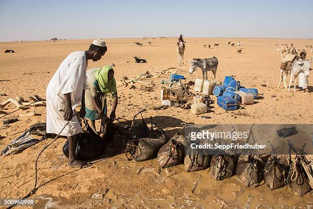 nomadi riempimento d'acqua sul profondo fontana sudan - migrazione animale foto e immagini stock