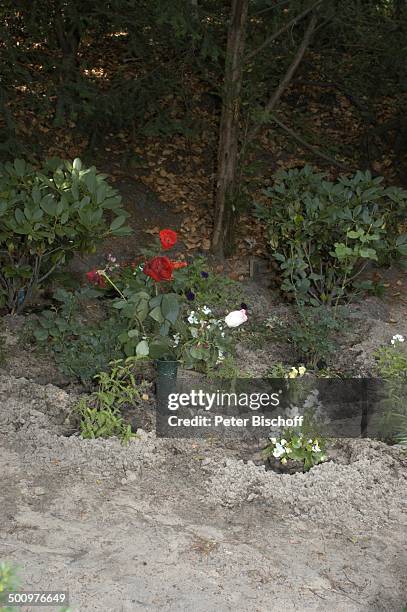 Grab von Horst Buchholz, Waldfriedhof Westend, Berlin, Deutschland, Europa, , Blume, Rose, Schauspieler, Promi, Promis, Prominente, Prominenter,...