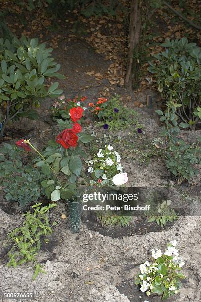 Grab von Horst Buchholz, Waldfriedhof Westend, Berlin, Deutschland, Europa, , Blume, Rose, Schauspieler, Promi, Promis, Prominente, Prominenter,...