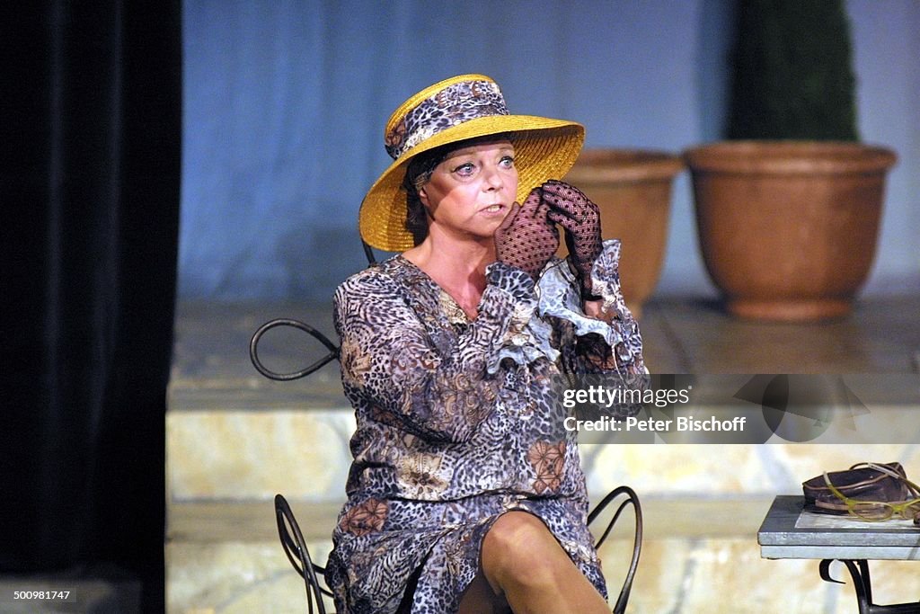 Grit Boettcher, Theaterkomödie: 'Willkommen im Club', Düsseldorf, 28.08.2003, 'Theater an der Kö', Schauspielerin, Auftritt, Bühne, Kostüm, Verkleidun