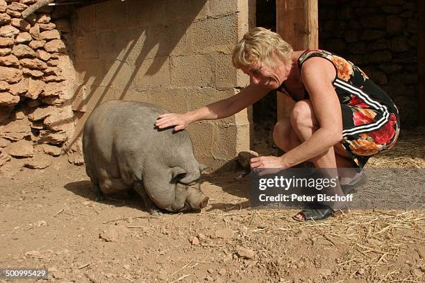 Antje Lewald mit Hängebauch-Schwein "Bertha", Tierheim des Vereins "Animals for People", Campos bei Llucmajor/Mallorca, Balearen, Spanien, ,...