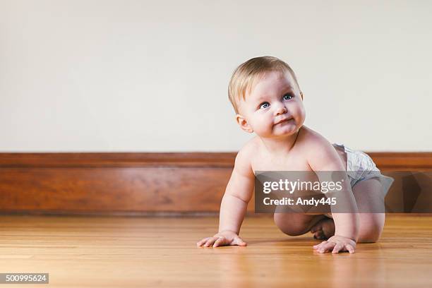 crawling baby - one baby boy only stock pictures, royalty-free photos & images
