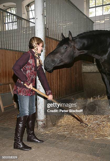 Marielle, am Rande der ZDF-"Herbstshow", Gestüt, Warendorf, Nordrhein-Westfalen, Deutschland, Europa, Reiterhof, Hof, Pferd, Tier, Stall, ausmisten,...