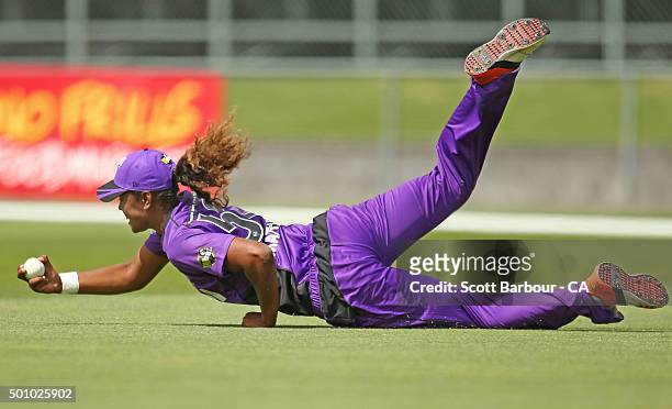 Hayley Matthews of the Hurricanes dives to take a catch in the outfield to dismiss Rachel Priest of the Renegades during the Women's Big Bash League...
