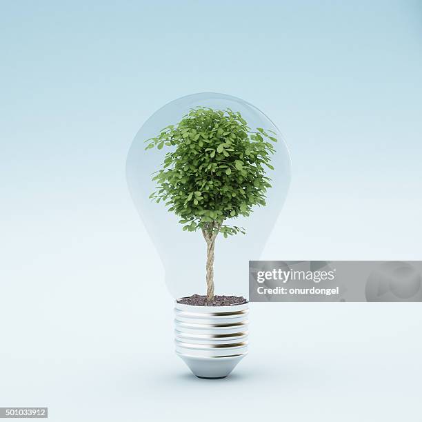 light bulb with plant - eco ideas stockfoto's en -beelden