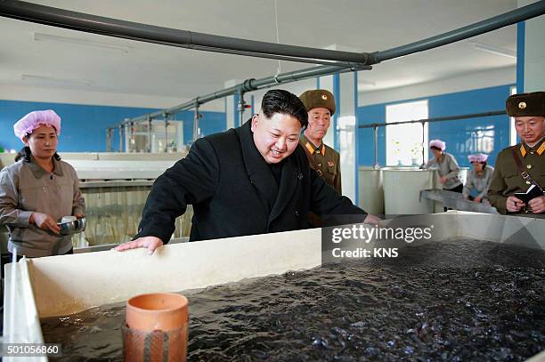 This undated picture released by North Korea's official Korean Central News Agency on December 12, 2015 shows North Korean leader Kim Jong-Un...