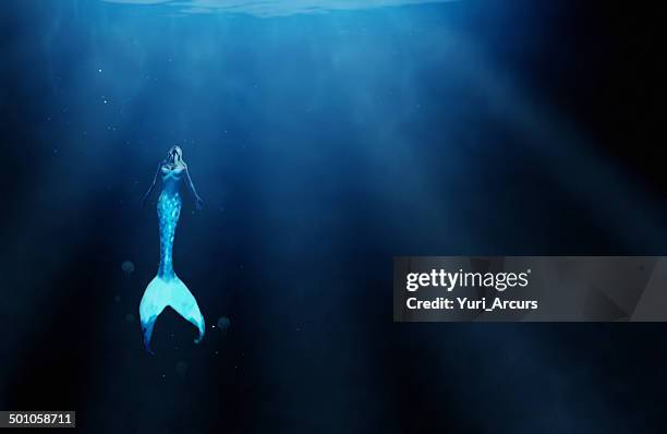 who knows what the ocean depths hold? - mermaid tail stock pictures, royalty-free photos & images