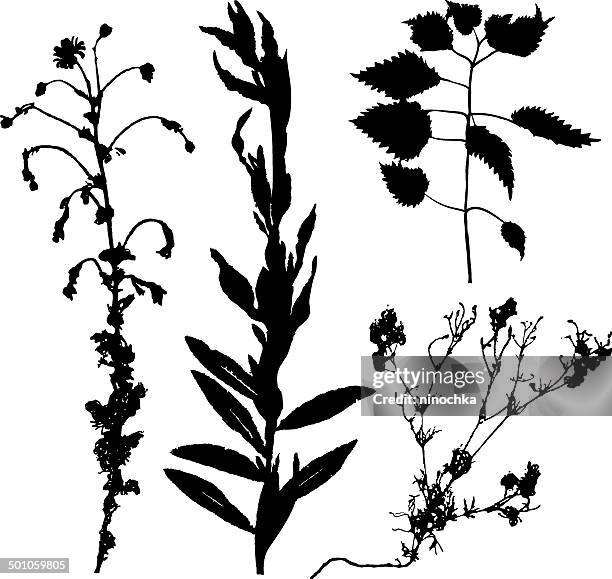 grass silhouettes - fall tree field stock illustrations