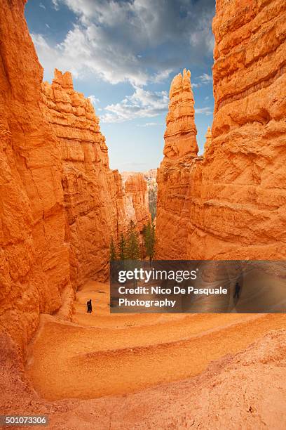 bryce canyon - bryce canyon - fotografias e filmes do acervo