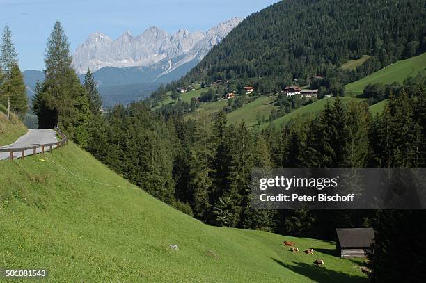 Ramsau am Dachstein, Steiermark, ZDF-Serie "Die Bergwacht", Österreich, Europa, Gebirge, Alpen, Alm, Berge, Berg, Reise NB, FTP; P.-Nr. 1408/2009, ;...