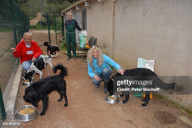 Judith und Ehemann Mel Jersey, Veronica Rheinsberger , Tierheim "SOS Animal", Calvia, Mallorca, Spanien, Europa, Hund, Hunde, Tier,...