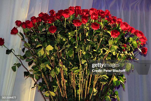 Strauß roter Rosen, Benefiz-Gala 28. "Deutscher Opernball" 2010 zu Gunsten Stiftung "Menschen für Menschen" - Äthiopienhilfe, "Alte Oper", Frankfurt,...