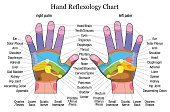 Hand reflexology chart description
