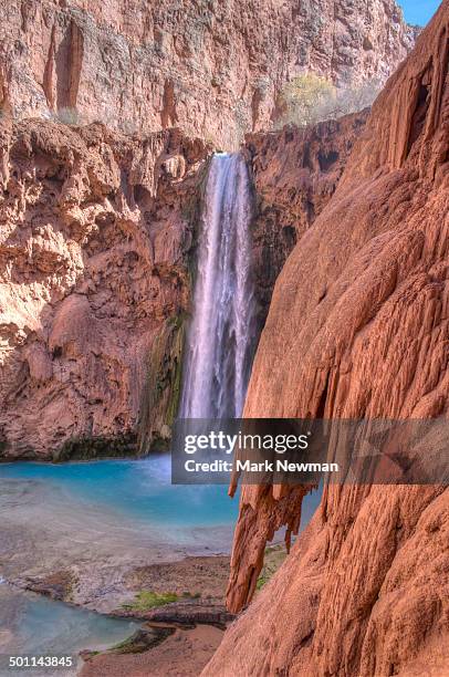 mooney falls - mooney falls stock pictures, royalty-free photos & images