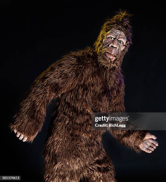 walking bigfoot - monster stock pictures, royalty-free photos & images