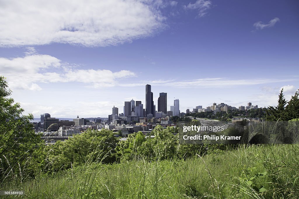 Seattle Skyline and Greenbelt