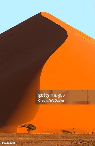 giant sand dune - namibia stock pictures, royalty-free photos & images