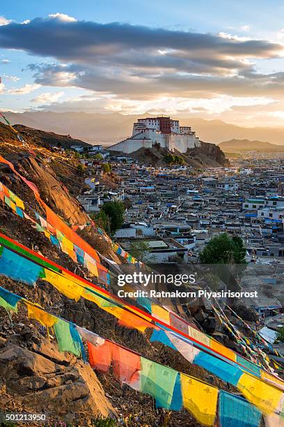 shigatse monastery in tibet - lhasa stock pictures, royalty-free photos & images