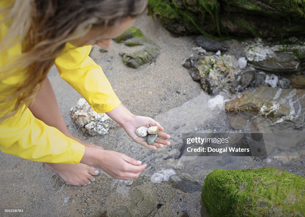 Person Collecting Rocks Woman At Beach Collecting Rocks High-Res Stock Photo - Getty Images