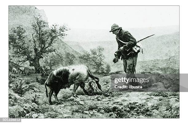 antique illustration of "the truffle seekers" by vayson - edible mushroom stock illustrations