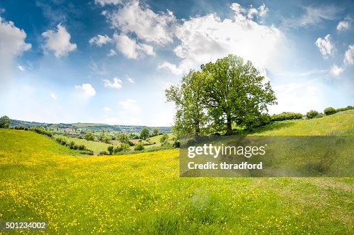 Beautiful Rolling Landscape On A Summers Day In The Cotswolds Beautiful Rolling Landscape On A Summers Day In The Cotswolds