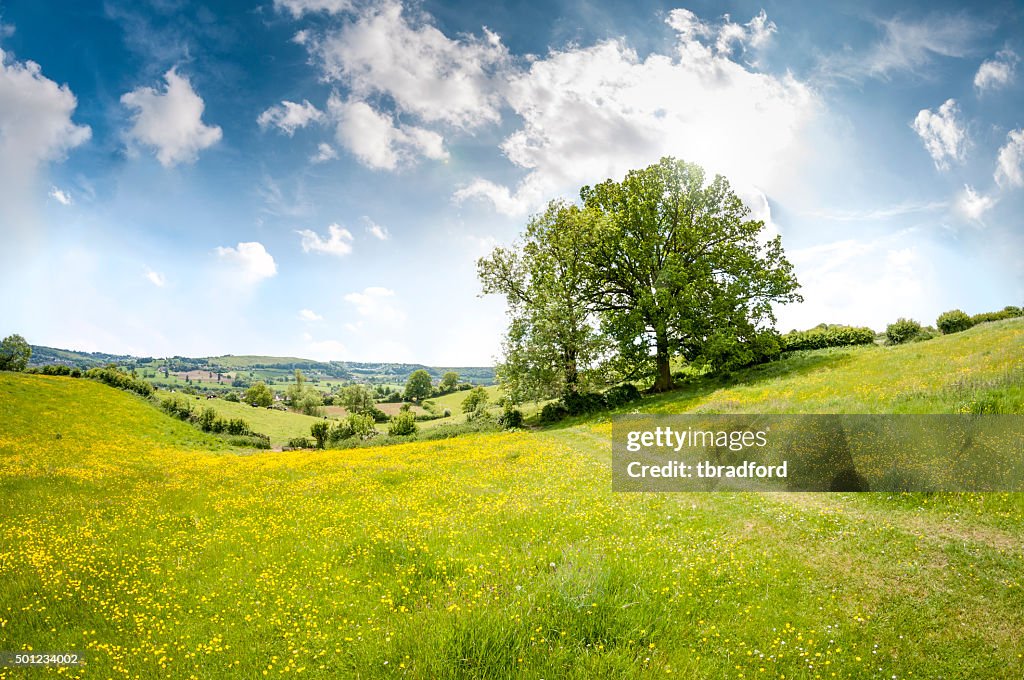 Beautiful Rolling Landscape On A Summers Day In The Cotswolds