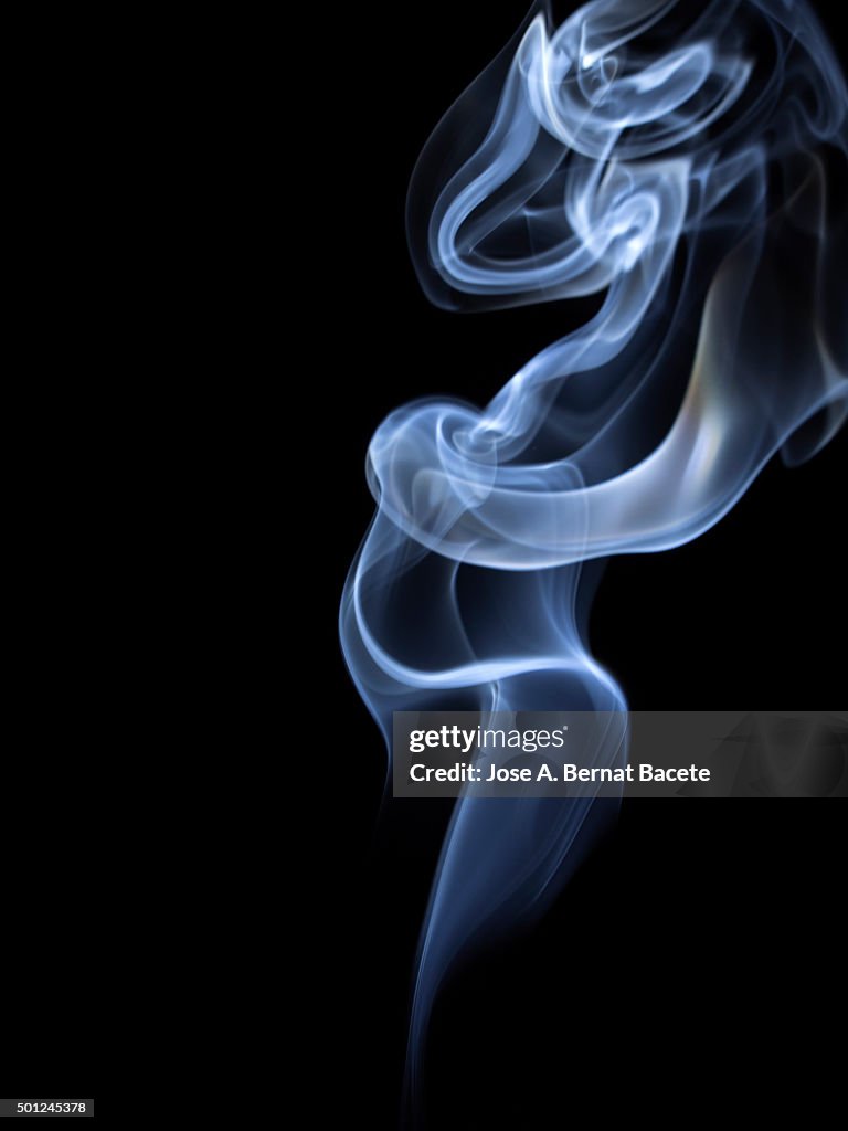 And black background drawings subtle forms of white smoke