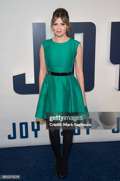 Personality Carly Steel attends the "Joy" New York premiere at the Ziegfeld Theater on December 13, 2015 in New York City.