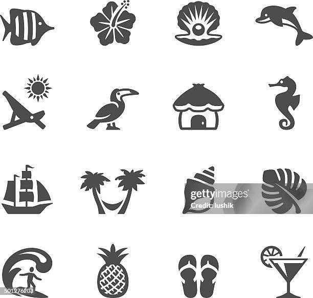 ilustraciones, imágenes clip art, dibujos animados e iconos de stock de soulico iconos de vacaciones tropicales - caracola concha de mar
