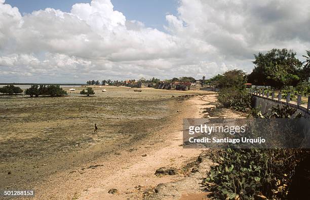 intertidal zone and coast in island of ibo - igbo stock-fotos und bilder