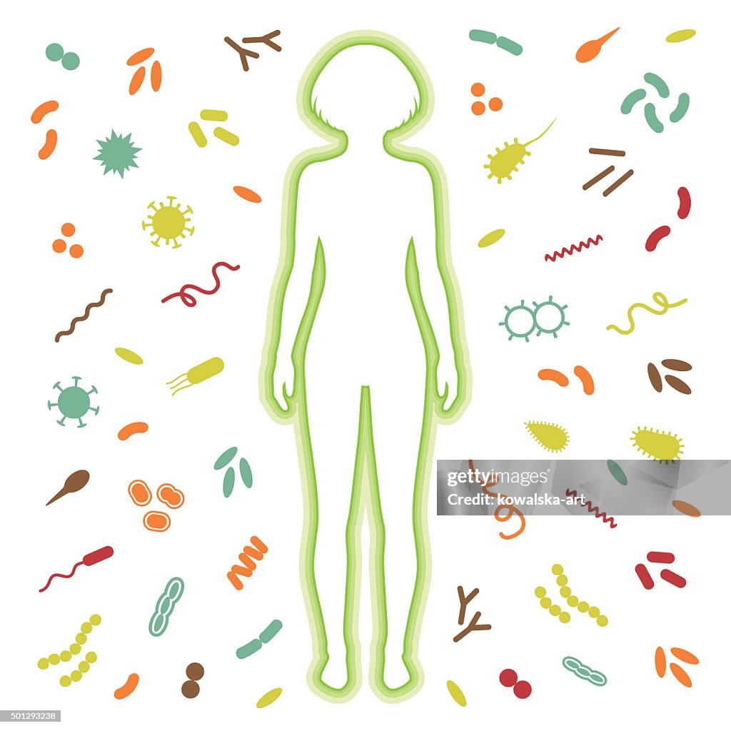 Immunity Protect Immune Protection System High-Res Vector Graphic - Getty Images