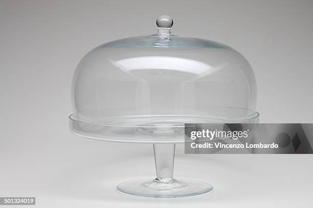 bell glass - campana de vacío fotografías e imágenes de stock