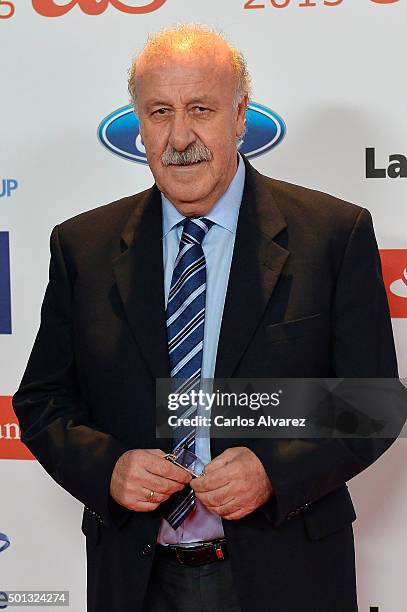 Vicente del Bosque attends the 2015 "AS Del Deporte" Awards at The Westin Palace Hotel on December 14, 2015 in Madrid, Spain.