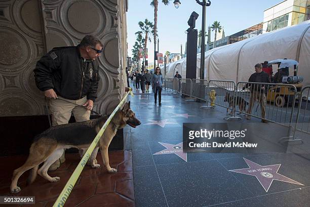 Bomb sniffing dogs sweep areas along Hollywood Boulevard before the start of the premiere of Walt Disney Pictures And Lucasfilm's "Star Wars: The...
