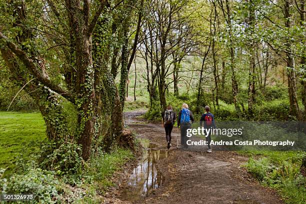 trekking pilgrims to santiago de compostela - santiago de compostela fotografías e imágenes de stock