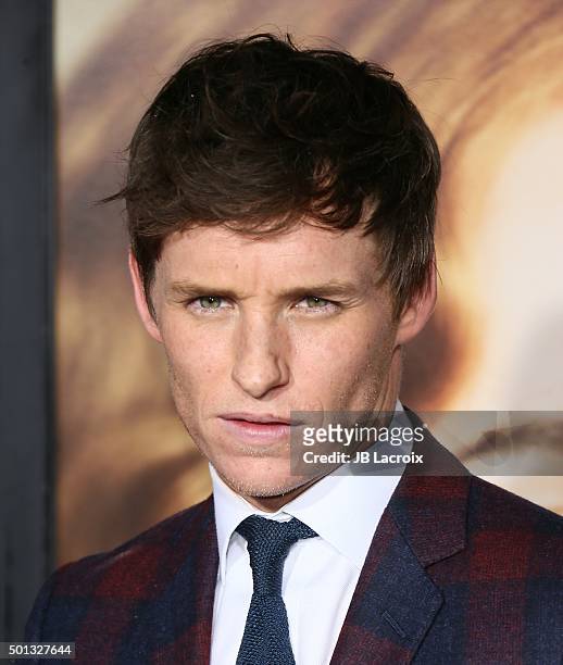 Eddie Redmayne attends the premiere of Focus Features' 'The Danish Girl' at Westwood Village Theatre on November 21, 2015 in Westwood, California.