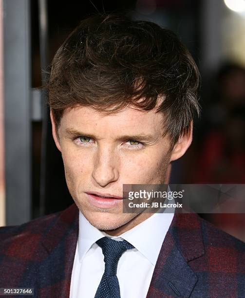 Eddie Redmayne attends the premiere of Focus Features' 'The Danish Girl' at Westwood Village Theatre on November 21, 2015 in Westwood, California.